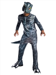 Buy Velociraptor Blue Costume- 3-5