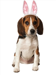 Buy Bunny Ears Pet Accessory -  Size M-L