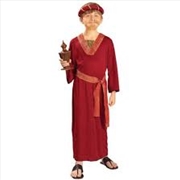 Buy Wiseman Burgundy Costume - Size L