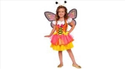 Buy Glittery Orange Butterfly - Size L