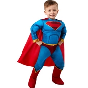 Buy Superman Classic Dc Super Pets Costume - Size S