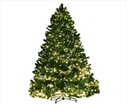 Buy 6ft Christmas Tree 1980 LED Lights 765 Tips - Warm White