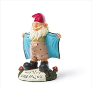 Buy Bigmouth Perverted Garden Gnome