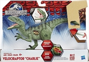 Buy Hasbro Jurassic World Growler Velociraptor â€œCharlieâ€ With Sound and Lights 4+