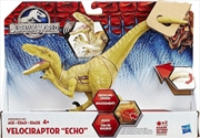 Buy Hasbro Jurassic World Growler Velociraptor Echo Dinosaur with Sound and Lights