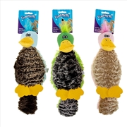 Buy Chompers- Animals Plush dog toys with squeaker Bird 37CM -(1pc Random Colour)