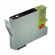 Buy Compatible Premium Ink Cartridges T0541  Photo Black Ink - for use in Epson Printers
