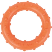 Buy Major Dog Ring Rudi Fetch Toy