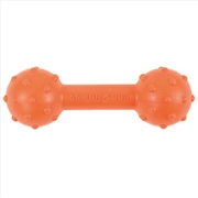 Buy Major Dog  Barbell Fetch Toy for Small Dogs