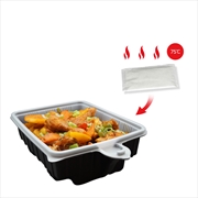Buy Sirak Food 5 Pack Dalat Heating Lunch Box Container 33cm Rectangle + Heating Bag