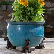 Buy Potty Feet - Antique Bronze Schnauzer (Set Of 3)