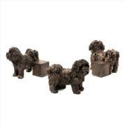 Buy Potty Feet - Shih-Tzu (Set Of 3)