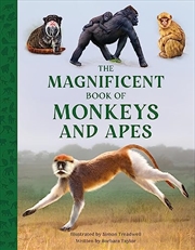 Buy Magnificent Book of Monkeys and Apes