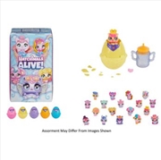 Buy Hatchimals Water Hatch 1pk assorted (Sent At Random)