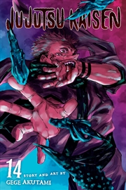 Buy Jujutsu Kaisen, Vol. 14 