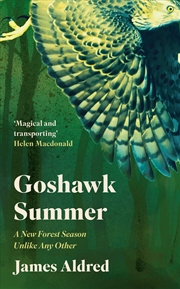 Buy Goshawk Summer