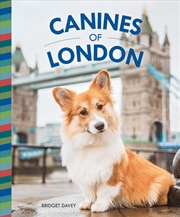 Buy Canines of London (Dog Photography, Dog Lovers Gift)