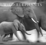 Buy Wild Elephants