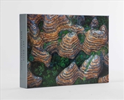 Buy Art Wolfe: Extraordinary Earth Blank Boxed Notecards