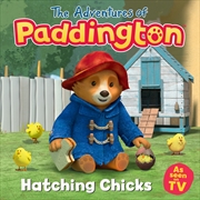 Buy Adventures Of Paddington Hatching Chicks