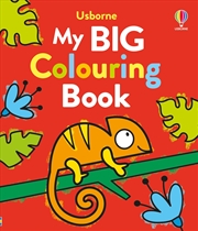 Buy My Big Colouring Book