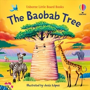 Buy Baobab Tree