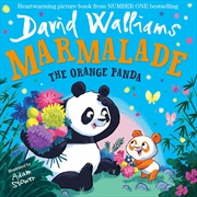 Buy Marmalade The Orange Panda