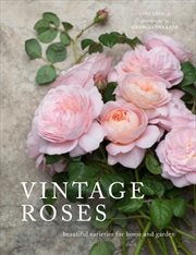 Buy Vintage Roses