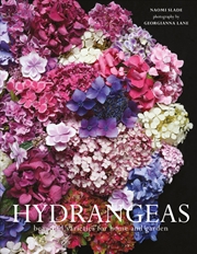 Buy Hydrangeas