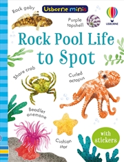 Buy Rock Pool Life To Spot