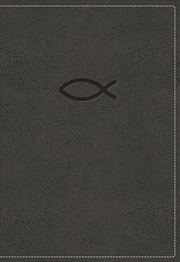 Buy Kjv Thinline Bible Youth Edition [Grey]