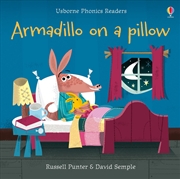 Buy Armadillo On A Pillow