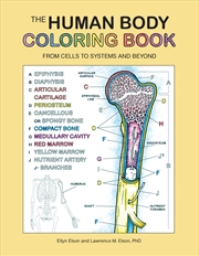 Buy Human Body Coloring Book