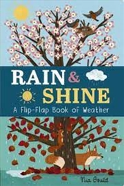 Buy Rain And Shine: A Flip-Flap Book Of Weather