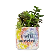 Buy Tie Dye Planter Small: I Will Survive