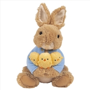 Buy Peter Rabbit With Chicks 30Cm