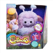 Buy Curlimals Flutter Wonders Bella Bear