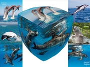 Buy V-Cube Dolphins 3X3 Pillow