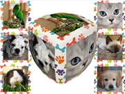 Buy V-Cube Pets 2X2 Pillow