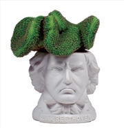 Buy Unemployed Philosophers Guild - Ludwig van Beethoven Planter