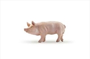 Buy Papo - Boar Figurine