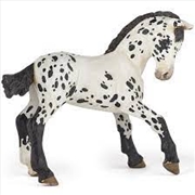 Buy Papo - Black appaloosa foal Figurine