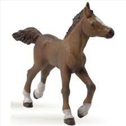 Buy Papo - Anglo-Arab foal Figurine