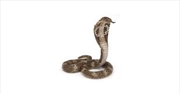 Buy Papo - King cobra Figurine