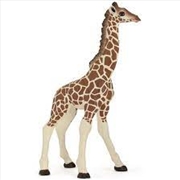 Buy Papo - Giraffe calf Figurine