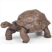 Buy Papo - Galapagos tortoise Figurine