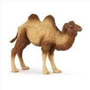 Buy Papo - Bactrian camel Figurine