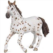 Buy Papo - Brown appaloosa mare Figurine