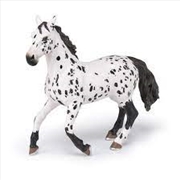 Buy Papo - Black appaloosa horse Figurine