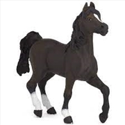 Buy Papo - Arabian horse Figurine